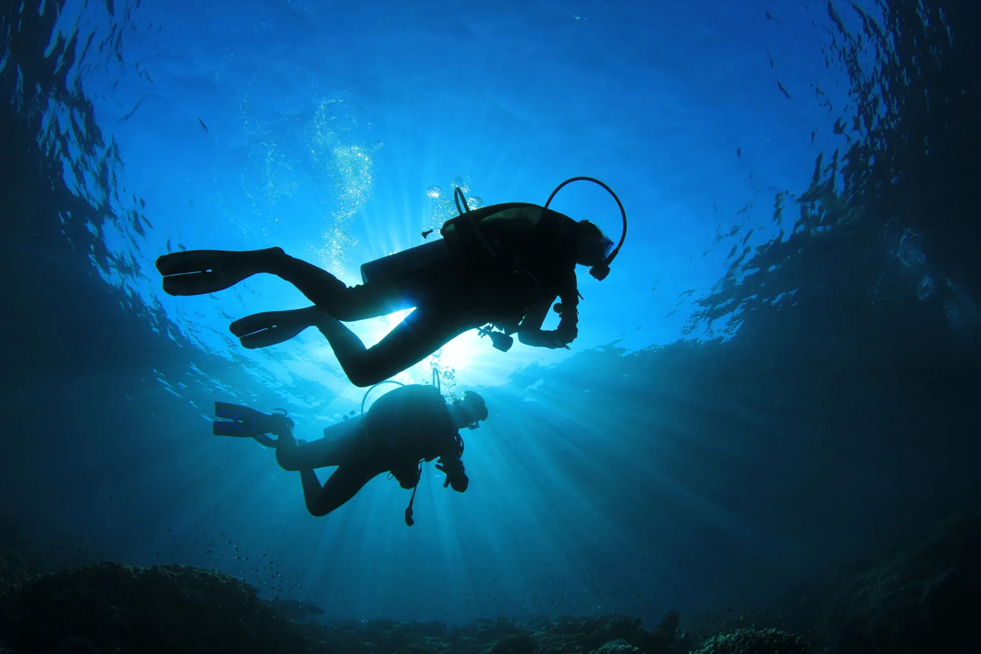 Ciutadella acogerá el Campeonato de Baleares de fotografía submarina a finales de mayo