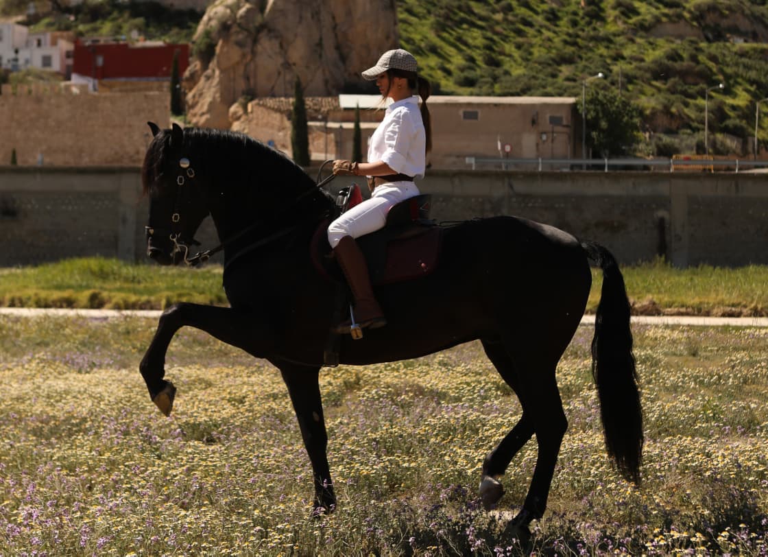 La Menorca Horse Week se estrena para situar a la isla en el mapa ecuestre internacional