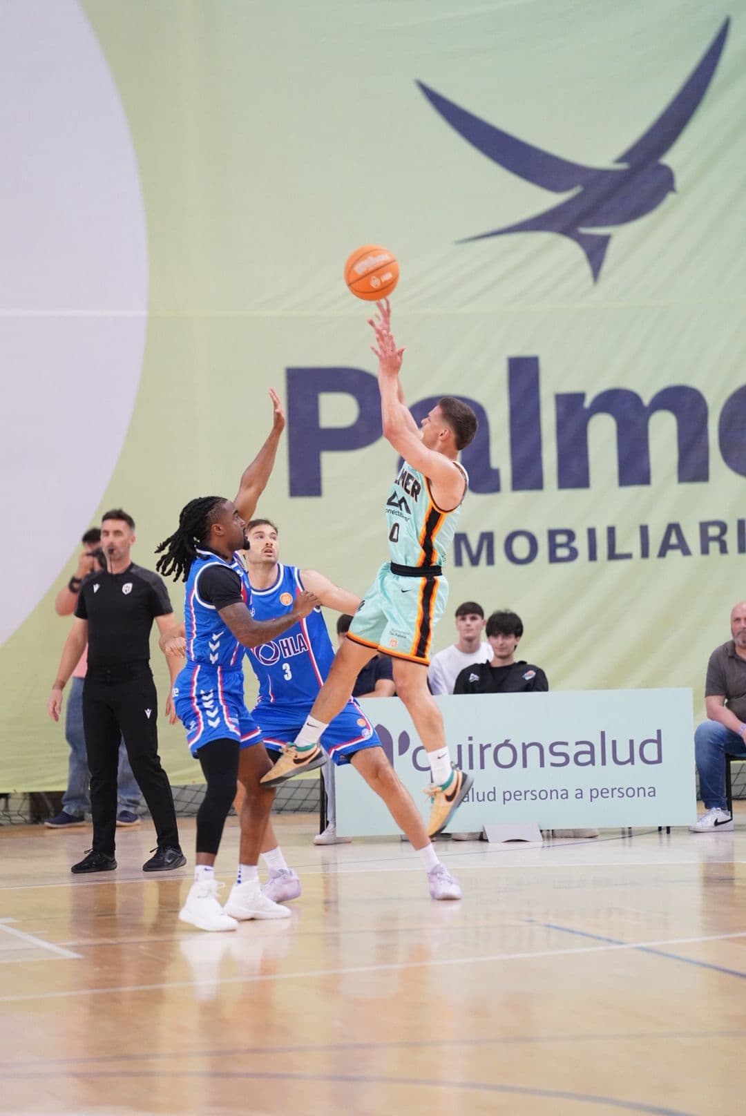 Victoria vital del Palmer Basket ante el HLA Alicante (77-68)